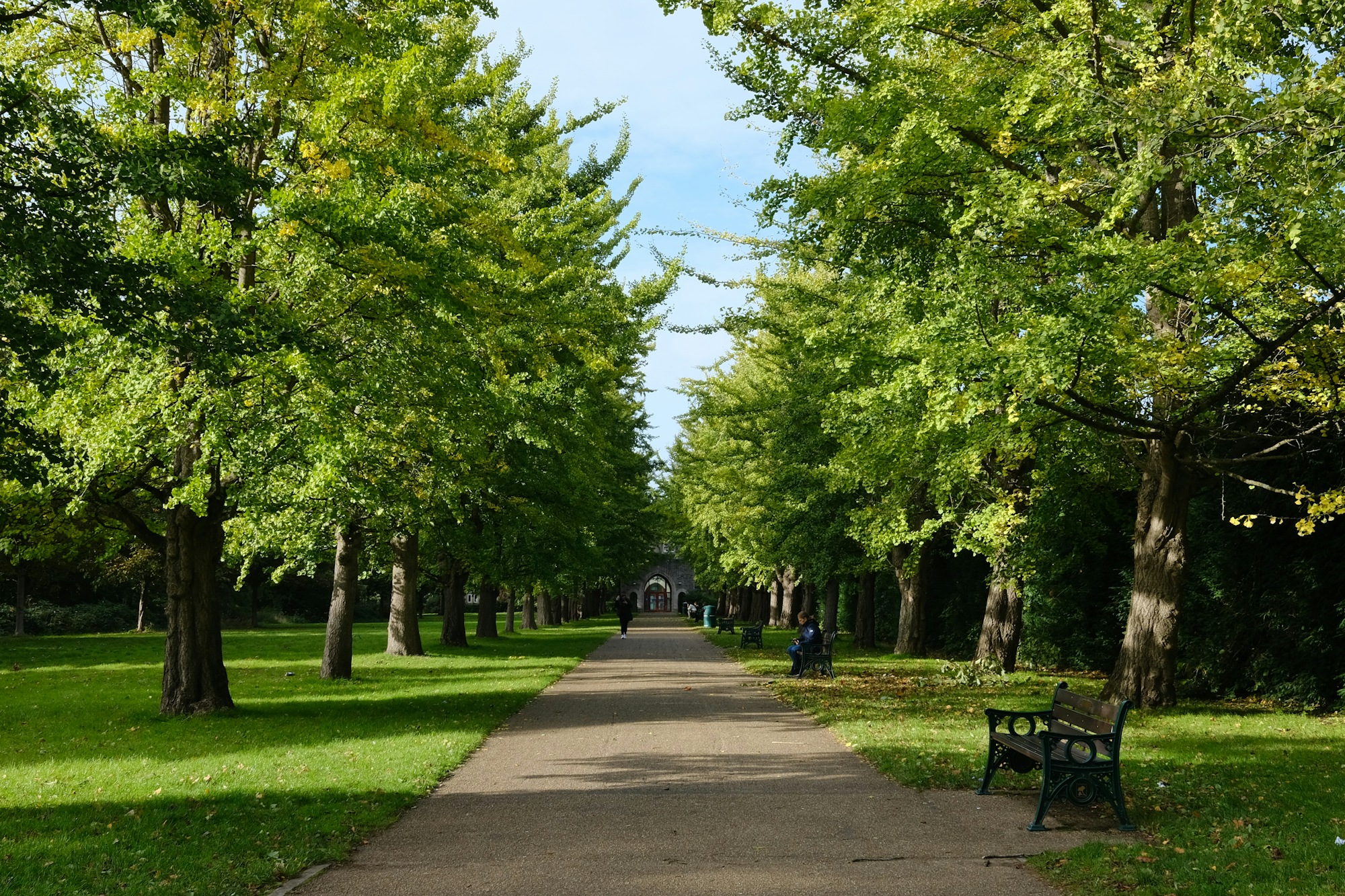 A park pathway, Cardiff