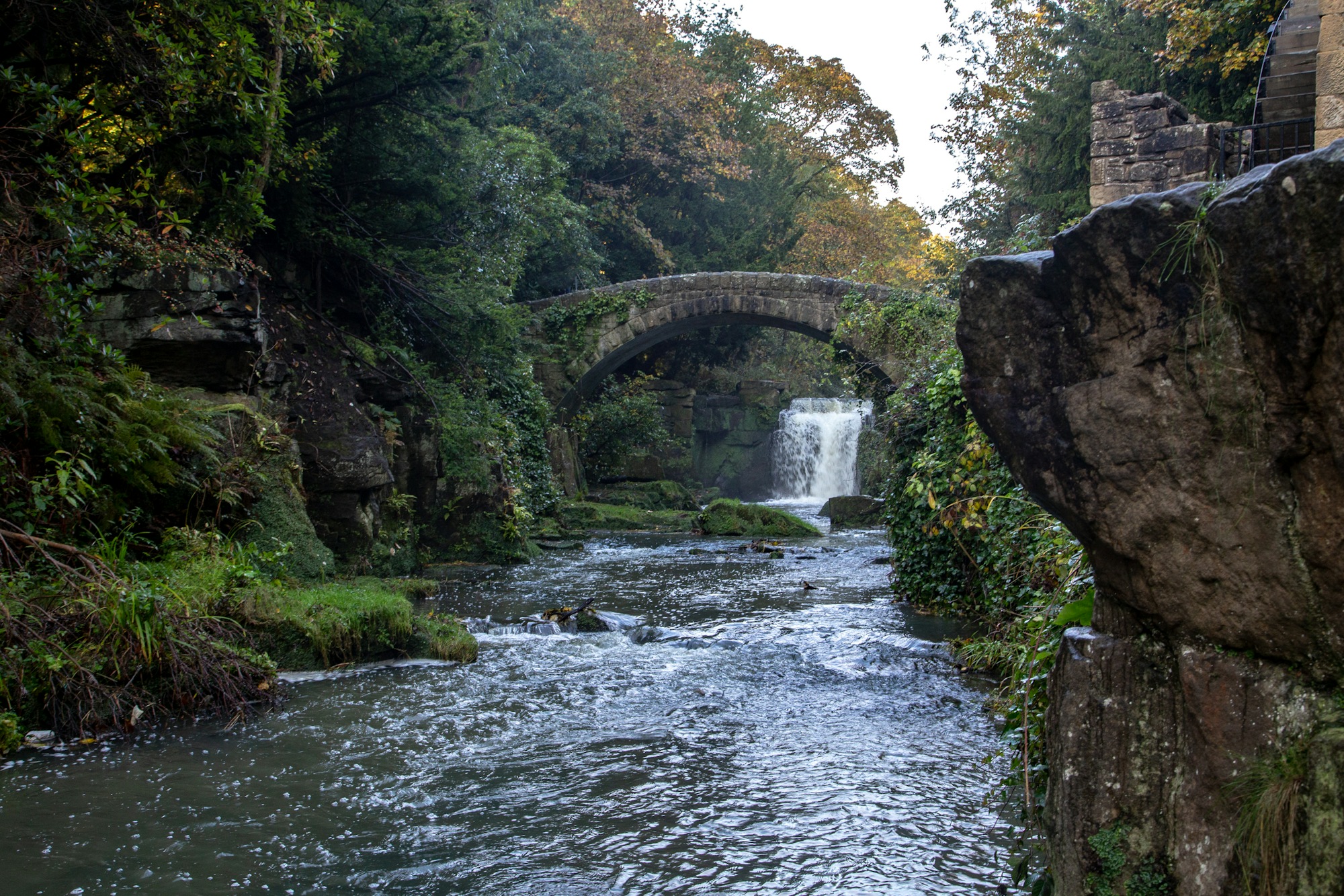 Jesmond Dene, Newcastle